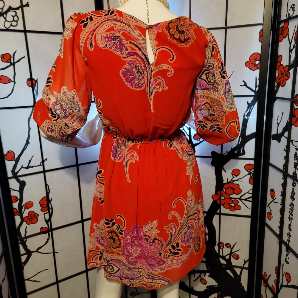 ENFOCUS STUDIO LADIES SHEER BLOUSON PAISLEY DRESS/ORANGE PAISLEY ART/SIZE 6P - Picture 8 of 12